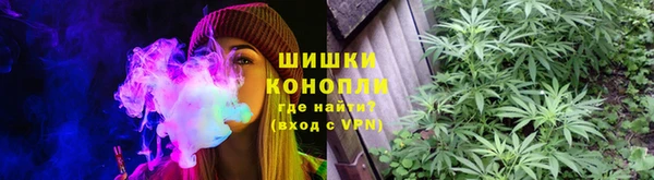 трава Беломорск