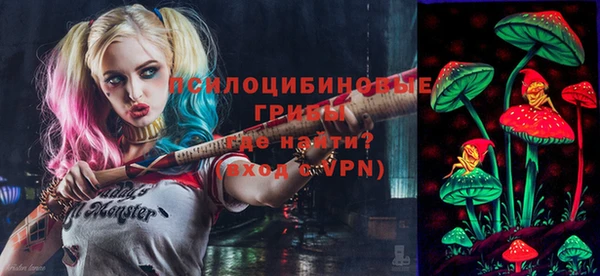 apvp Богданович