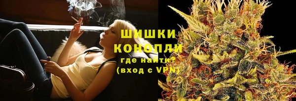 apvp Богданович